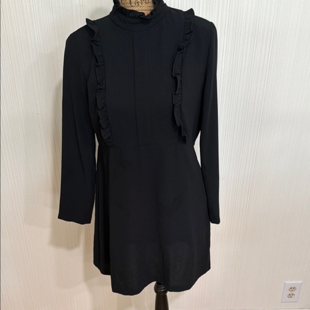 Zara Black Long Sleeve Ruffle Dress